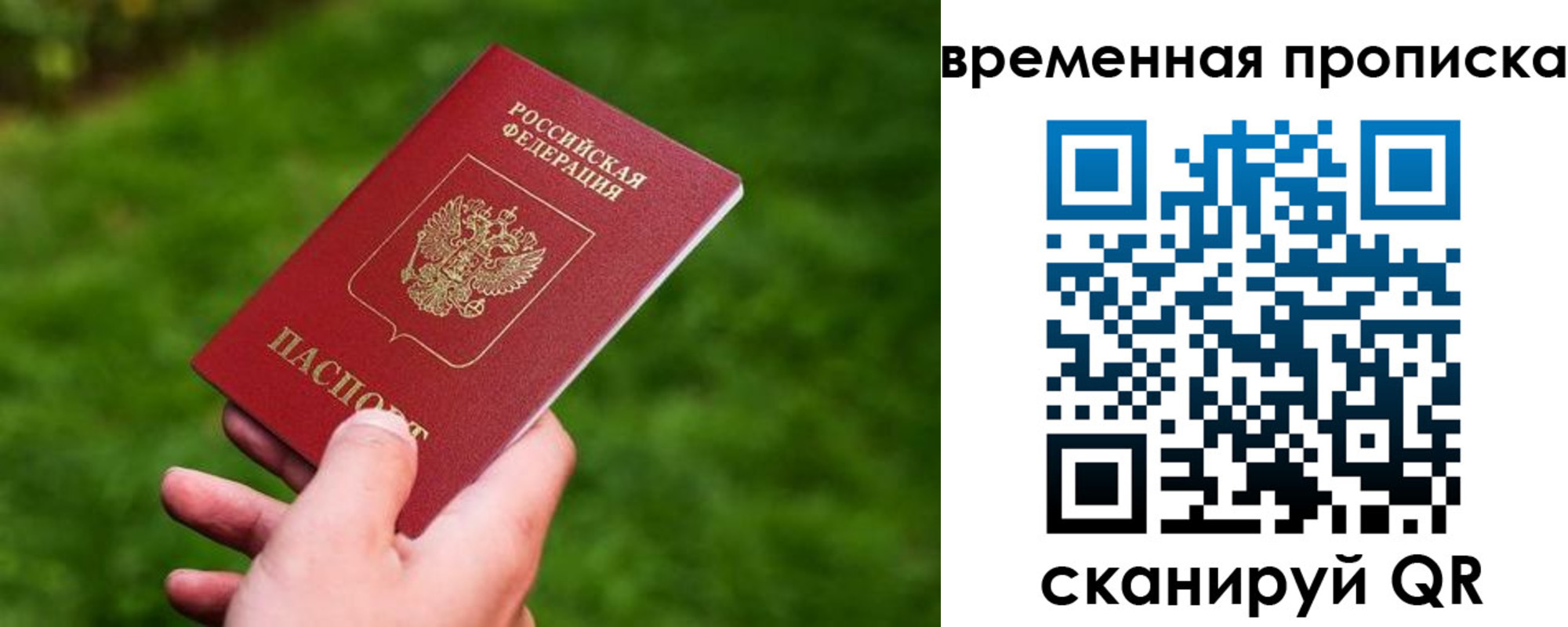 прописка ребенка в Гороховце